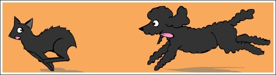 Darn Disco! The music, and the dog. Darn Disco! The music, and the dog.